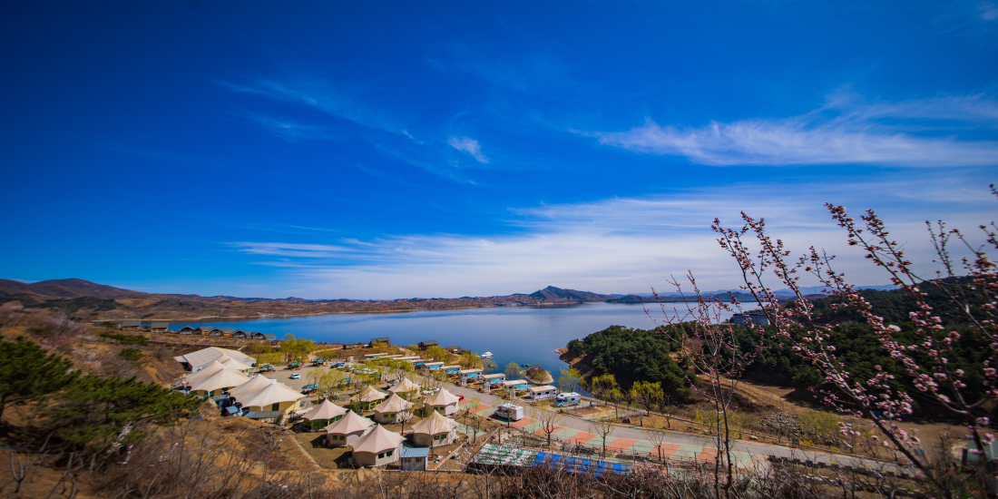 兴城镇小黑汀村